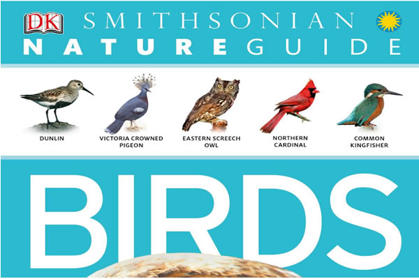 Dk自然百科指南《dk Nature Guide》6册全pdf下载，涵盖鸟类、宝石、岩石矿物、爬行动物、天文和树木等主题